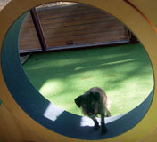 HoundRound ring